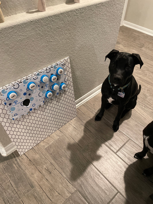 Ducky and I absolutely love the buttons! They are so  easy to use and are the perfect size! Sometimes I don’t see that the bowls are out of water and Ducky will let me know! I feel like we are understanding each other so much better!