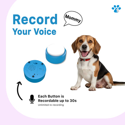 寵物對話按鈕回聲系統