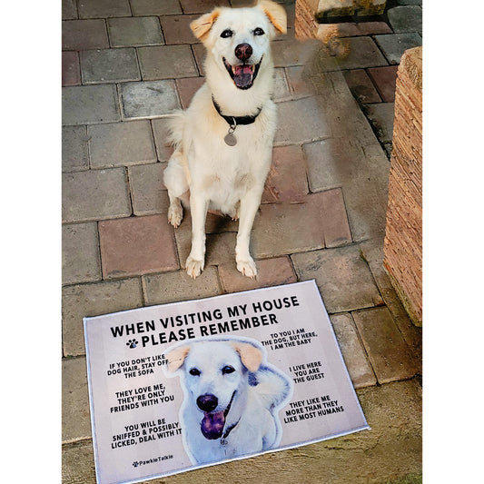 Paw-Cleaning Humor Floor Rug