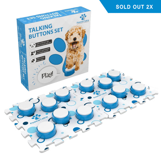 Dog Talking Buttons Echo System